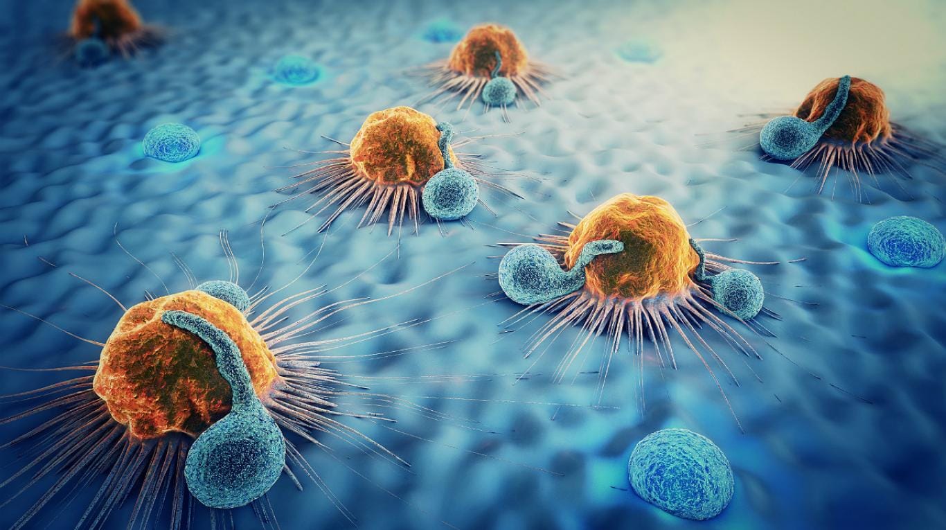 Contáctame - Dra. Tannia Soria | Oncóloga en Quito – Tratamiento del Cáncer