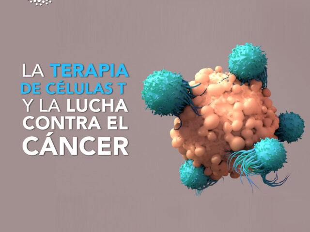 La Terapia de Células T y la lucha contra el cáncer